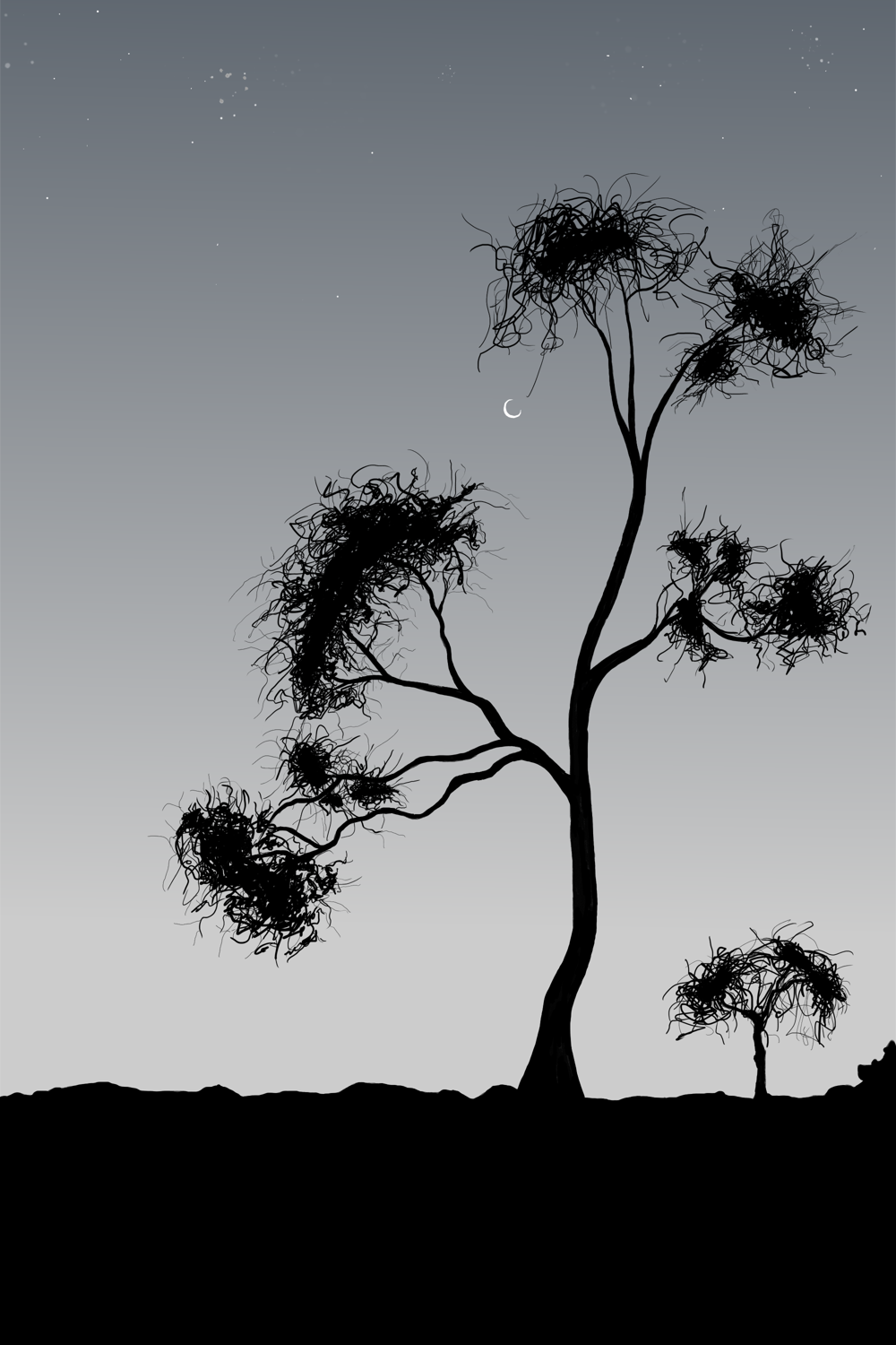 Tree at night drawing